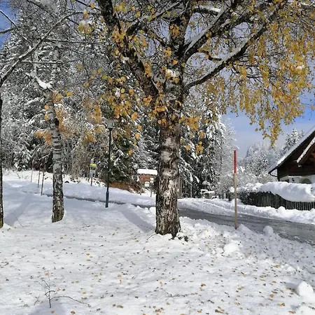 Appartement Salzkammergut Sonnenappartment