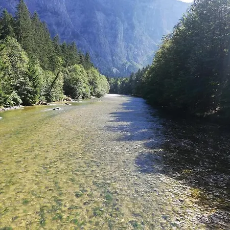 Salzkammergut Sonnenappartment Bad Mitterndorf